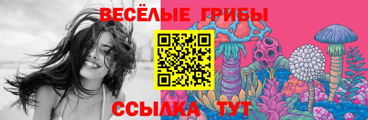 Галлюциногенные грибы прущие грибы Астрахань