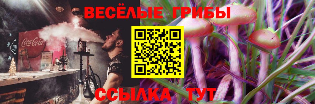 Астрахань  наркотики  Вход с VPN  Псилоцибиновые грибы мухоморы  Псилоцибиновые грибы Magic Shrooms 